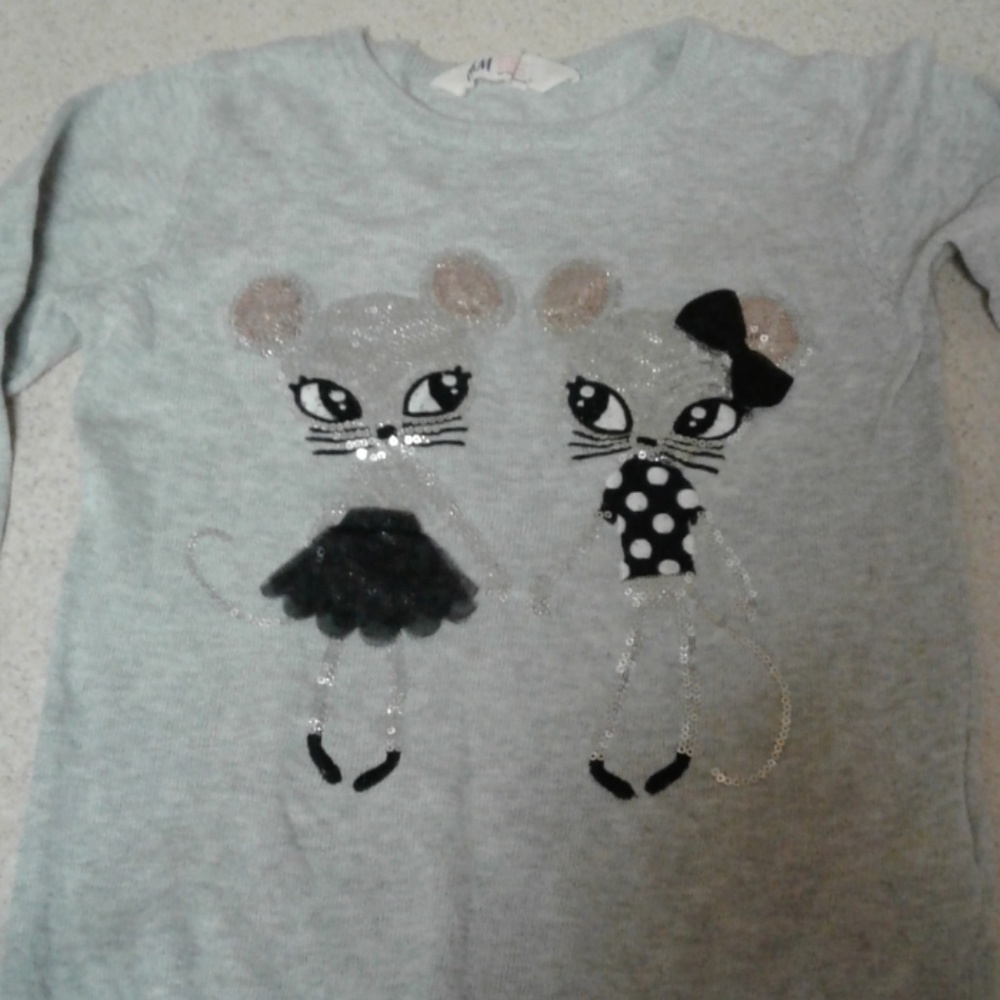 H&M Gray Sweater